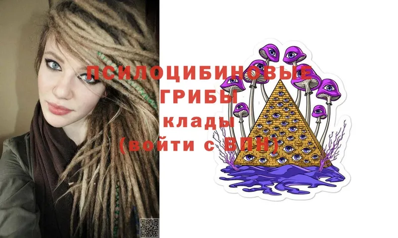 как найти   Саки  Галлюциногенные грибы Cubensis 